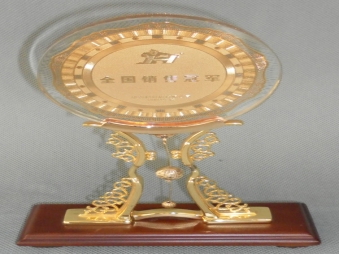 全國(guó)銷售冠軍